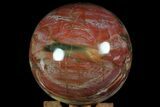 Colorful Petrified Wood Sphere - Madagascar #71437-2